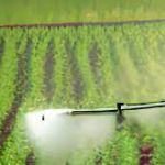 ООО «Вороновское» информирует о проведении обработки полей средствами защиты растений
